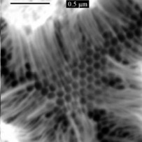 Nanostructures